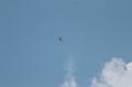 K T-20190825-150141_IMG_2417-7